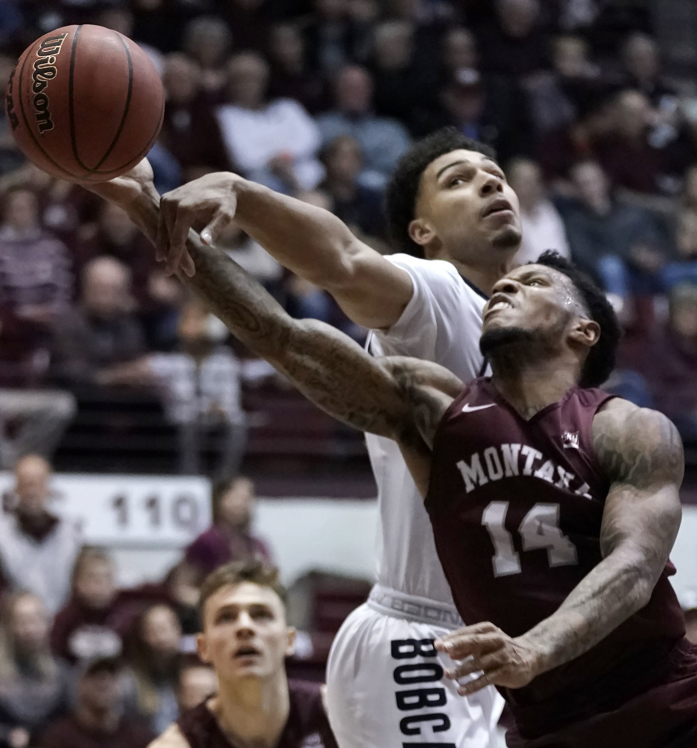 Griz v Cats-2-tm.jpg
